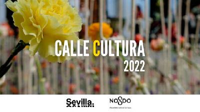 Cartel de Calle cultura 2022