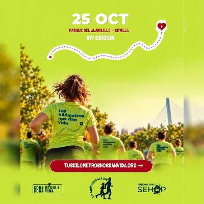 Cartel de la décima cuarta Carrera Solidaria contra el cáncer infantil en Sevilla