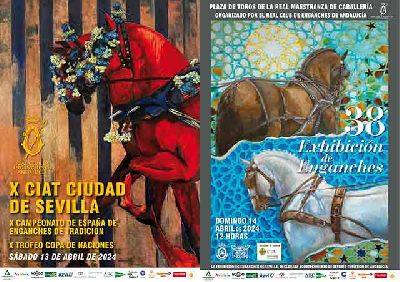 Cartel de la XXXVIII Exhibición de Enganches de Sevilla y los y concursos 2024