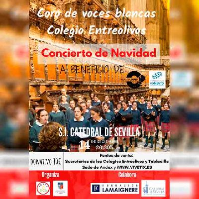 Cartel del concierto de Navidad del Coro Entreolivos en la Catedral de Sevilla 2022