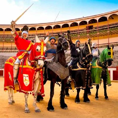 Foto promocional de Los cuatro reinos: el gran torneo medieval