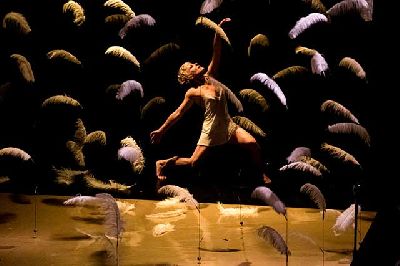 Foto promocional de la pieza de danza Malditas plumas de Sol Picó