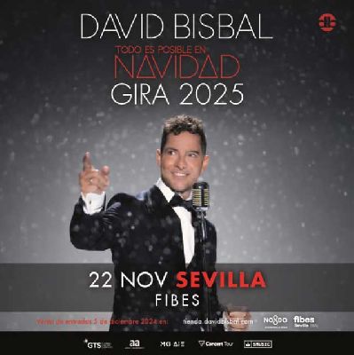 Cartel del concierto Todo es posible en Navidad con David Bisbal en Fibes Sevilla 2025