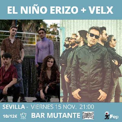 Cartel del concierto de El Niño Erizo y Velx en el Bar Mutante de Sevilla 2024