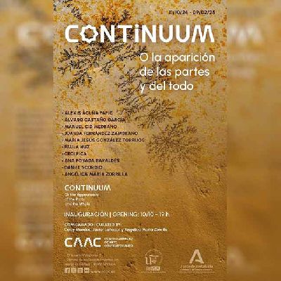 Cartel de la exposición Continuum. O la aparición de las partes y del todo en el CAAC de Sevilla 2024-2025