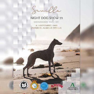 Cartel de la Exposición canina nacional e internacional de Sevilla 2023
