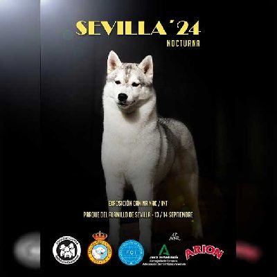 Cartel de la Exposición canina nacional e internacional de Sevilla 2024