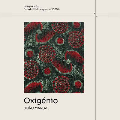 Cartel de la exposición temporal Oxigénio en la Galería Alarcón Criado de Sevilla 2026
