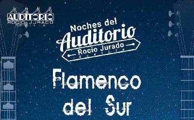 Cartel del ciclo Flamenco del sur en el Auditorio Rocío Jurado de Sevilla 2020