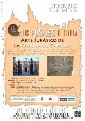 Los fósiles de la Fábrica de Tabacos de Sevilla (enero 2014)