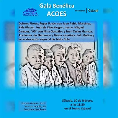 Cartel del espectáculo Gala a beneficio de la ONG ACOES en Cajasol Sevilla 2024
