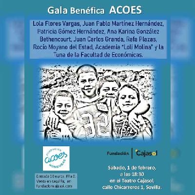 Cartel del espectáculo Gala a beneficio de la ONG ACOES en Cajasol Sevilla 2025