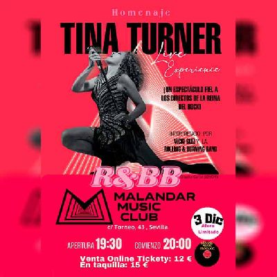 Cartel del concierto de homenaje a Tina Turner en Malandar Sevilla 2023