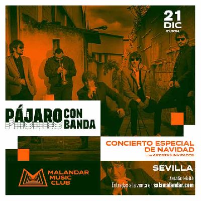 Cartel del concierto de Pájaro (con banda) en Malandar Sevilla 2023