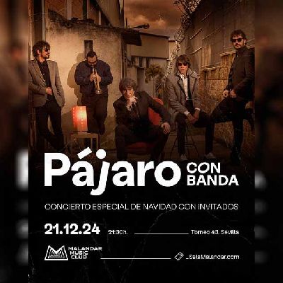 Cartel del concierto de Pájaro (con banda) en Malandar Sevilla 2024