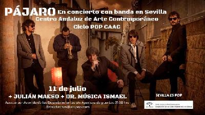 Cartel del concierto de Pájaro y Julián Maeso en Pop CAAC Sevilla 2019