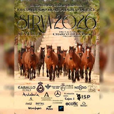 Cartel de la séptima edición Concurso Morfológico de Pura Raza Española Serva 2026 en Sevilla